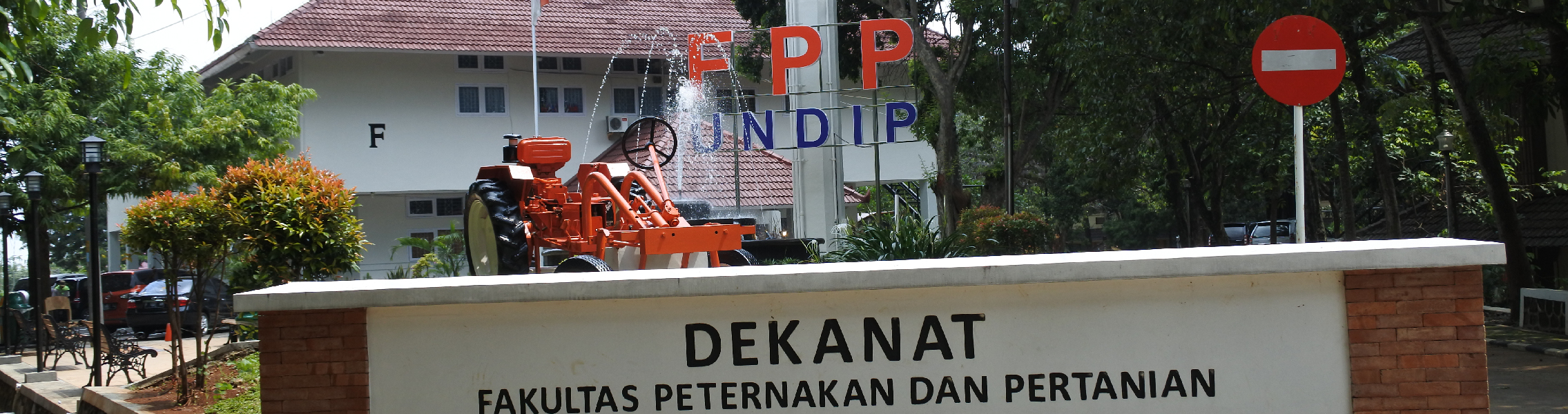 fpp undip